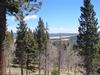 Alpine Splendor - (Drastically Reduced)